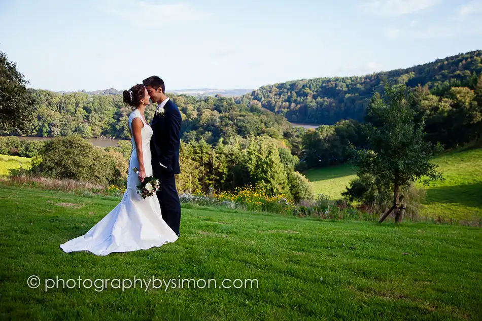 Sharpham Vineyard