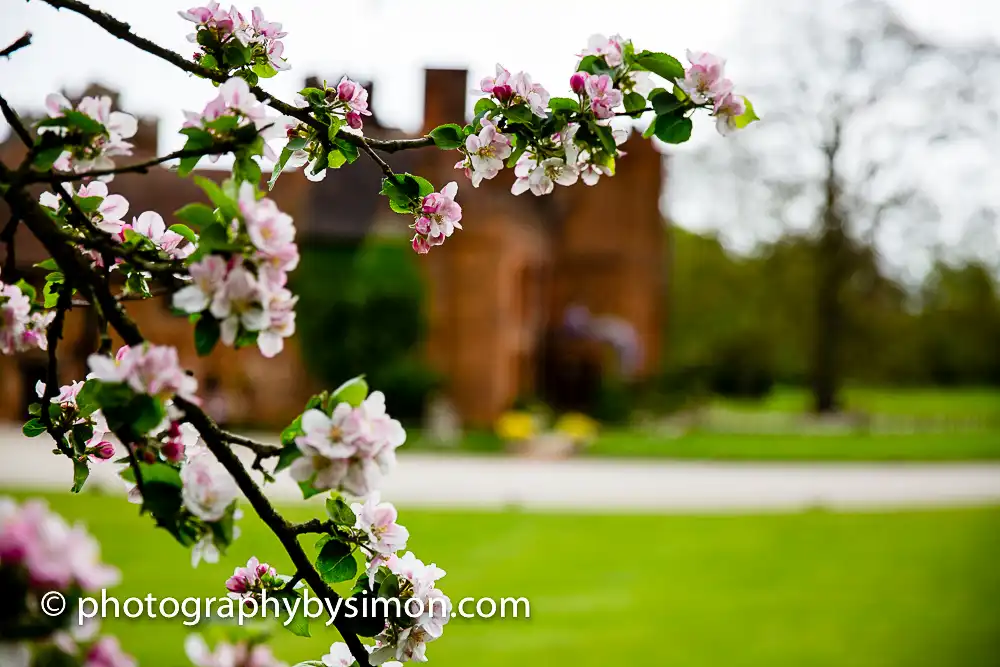 Leez Priory wedding photography