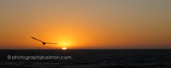 Cottesloe Beach Sunset