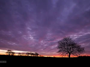 Staffordshire Sunset