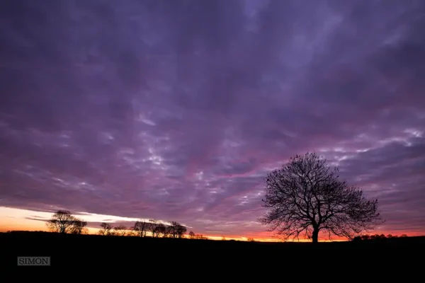 Staffordshire Sunset