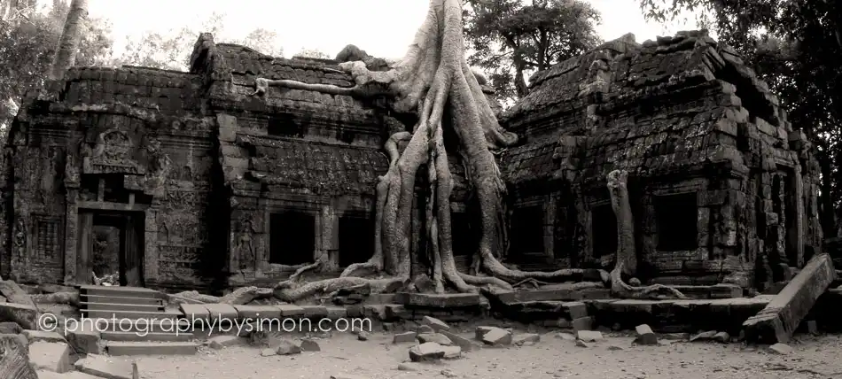 Ta Prohm Temple, Siem Reap, Cambodia