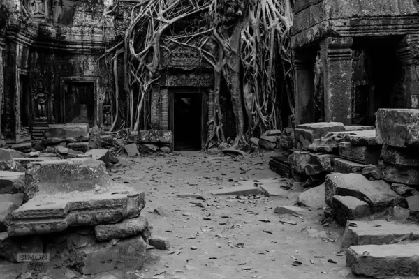 Ta Prohm Famous Doorway