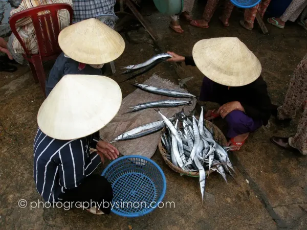 Vietnam Fish Market