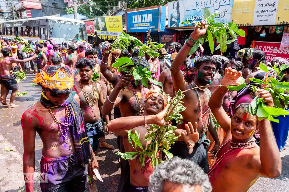 Buy a copy of Kerala festivalprint